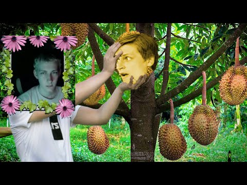 Видео: ОЛЕГ БРОВАРСКОЙ И ЭКЗОТИКА МАМИКСА