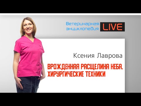 Видео: Врожденная расщелина неба. Хирургические техники