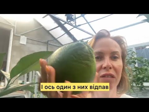 Видео: Огляд оранжереї, вересень-жовтень