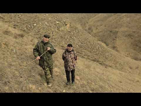 Видео: Мероприятие в селе Шадни, чабанский хинкал #Цизгари#Меусиша#эндуристи#