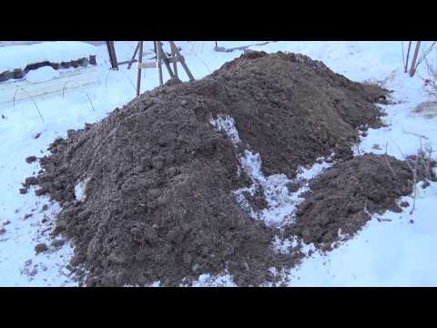 Видео: Убрали подстилку с бактериями в курятнике.