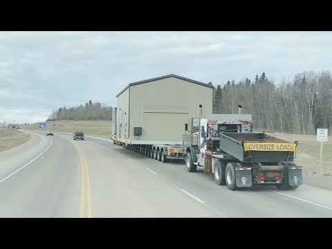 Видео: 143. Снег,скользко. Лоси на дороге  Альберта,Канада 2023