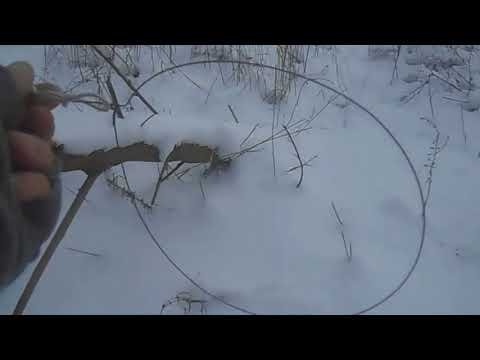 Видео: ПРОВЕРКА ПЕТЕЛЬ 14 01 2017