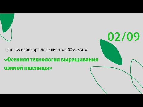 Видео: «Осенняя технология выращивания озимой пшеницы»