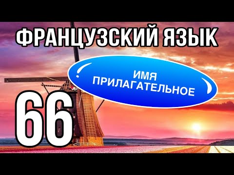 Видео: ИМЯ ПРИЛАГАТЕЛЬНОЕ - UN ADJECTIF : общая теория | ФРАНЦУЗСКИЙ ЯЗЫК ПО ПОЛОЧКАМ