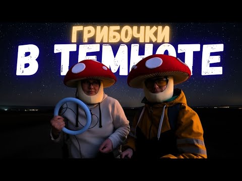 Видео: Как успеть собрать ГРИБЫ, если скоро НОЧЬ? Грибное ВЕЛОПРИКЛЮЧЕНИЕ