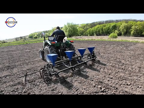 Видео: Весь процес посіву гарбуза! / оранка, фрезеровка, посів гарбуза сівалкою!!! #оптиміст