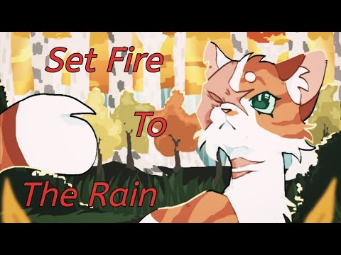 Видео: ЗАКАЗ Коты Воители Яролика: Set Fire to The Rain [Adele] 