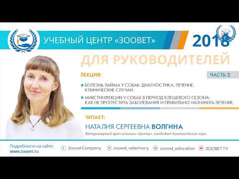 Видео: Н. С. Волгина в УЦ «Зоовет» | Болезнь лайма у собак. Микстинфекции у собак, ч. 3
