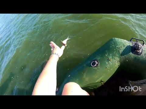 Видео: Я таких гигантов до этого не ловил. Кастинговая сеть с большим кольцом. Мы в шоке😁😁😁😁😁