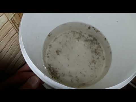 Видео: промывка дренажной трубки Daewoo - FR 3801. ремонт холодильника.