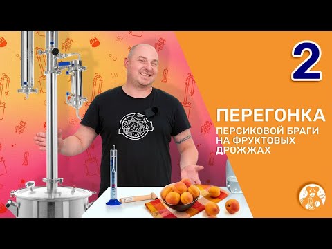 Видео: Перегонка персиковой чачи на фруктовых дрожжах