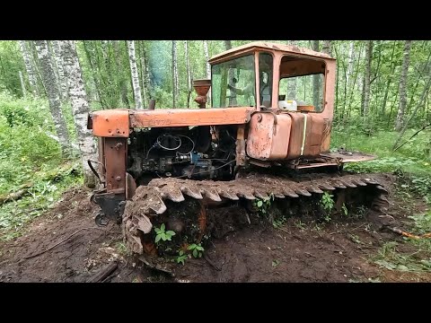 Видео: ДТ75 Болотник. 8 месяцев в болоте! Финал эвакуации!