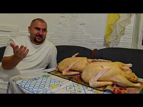 Видео: Таких мамонтов у меня еще не было! Прекрасная альтернатива гусям! 