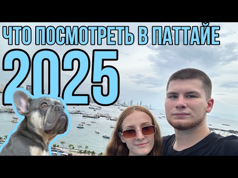 Видео: Что посмотреть в Паттайе 2025? Dogs Cafe / Jumtien night market / Смотровые площадки 
