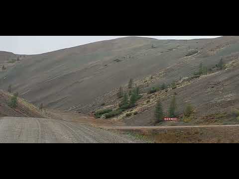 Видео: ЕДУ В МАГАДАН Ч.7 Тенькинская трасса  21.08.2023г.