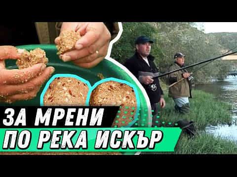 Видео: За МРЕНИ по р. ИСКЪР