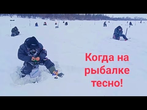 Видео: Что же делать, если рыбаков много, а места мало? Разбор ошибок. Спортивная мормышка.