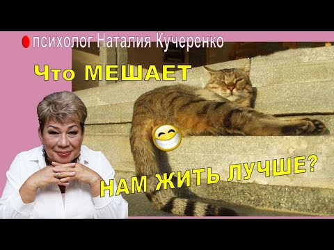 Видео: Что мешает нам жить лучше? Наталья Кучеренко
