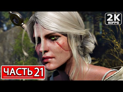 Видео: THE WITCHER 3: WILD HUNT Полное Прохождение Часть 22 ВЕДЬМАК 3 ДИКАЯ ОХОТА #shorts