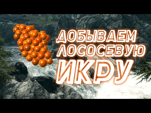 Видео: Лососевая Икра Где взять? The Elder Scrolls V: Skyrim