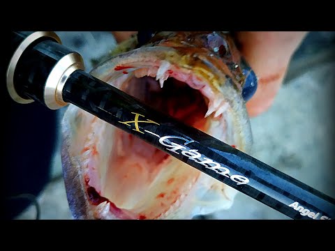 Видео: Огляд спінінга Azura X-Game X83L 2.51м 2-14г. Справжній береговий мультитул