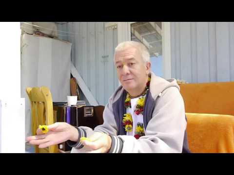 Видео: Не ищите большую любовь. Чайтанья Чандра Чаран Прабху