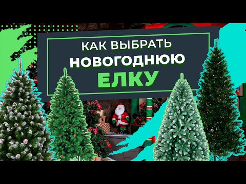 Видео: Как выбрать искусственную елку для дома? Праздничная ель на новый год. Магазин Порядок