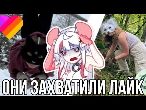 Видео: Квадроберы захватили лайк! Реакция на Квадробиров!