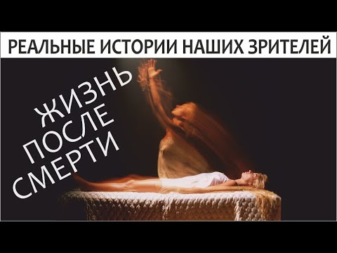 Видео: Правдивые истории зрителей канала