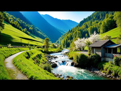 Видео: Нежная музыка успокаивает нервную систему и радует душу 🌿 Целебная музыка для сна №3