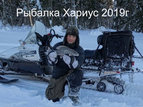 Видео: Рыбалка хариус .от  1 кг! коми улет! в 130 лунку  еле лезет!Таежная река!