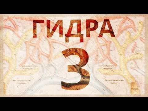 Видео: Гидpa 3. Лимфа