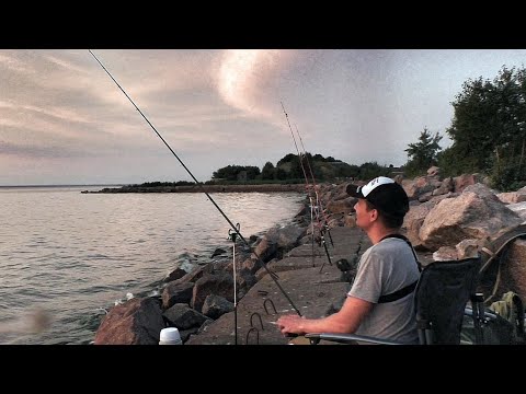 Видео: Финский залив в одиночку с закидушками. Лещи сходят с ума! Такого клёва я ещё не видел!