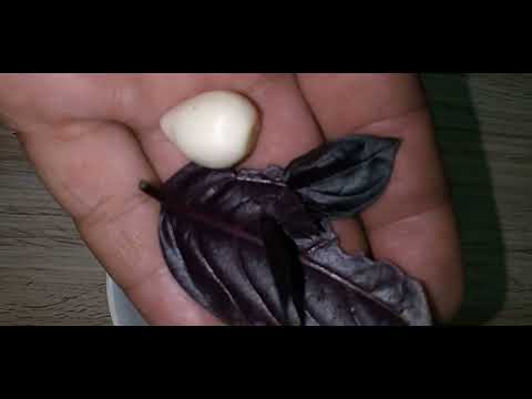 Видео: #МЯСО. Соус из крыжовника