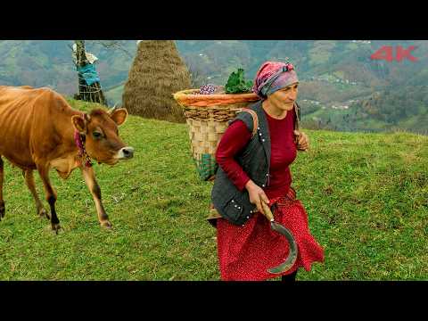 Видео: Осенняя история пары в Кучисе | Документальный фильм