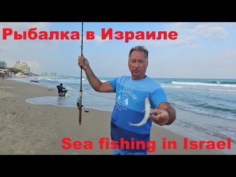 Видео: Рыбалка в Израиле. Sea Fishing in Israel. Сашими из Телевизии