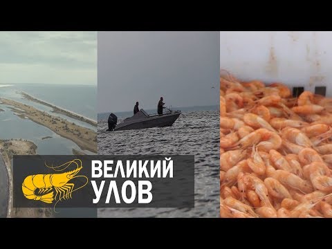 Видео: ВЕЛИКИЙ УЛОВ