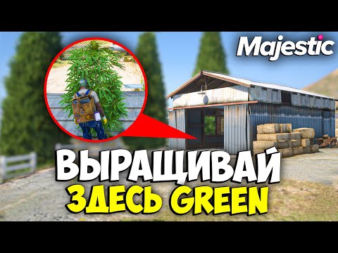 Видео: ВЫРАЩИВАЙ ЗДЕСЬ GREEN на MAJESTIC RP GTA 5 - СЕМЕНА ГРИН МАДЖЕСТИК РП