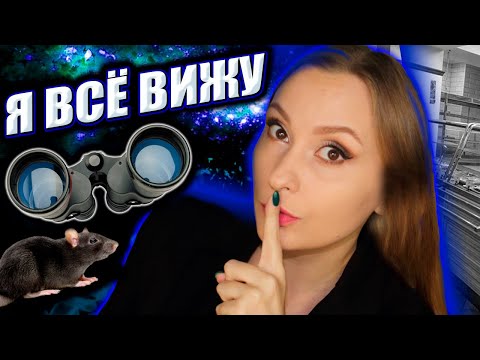 Видео: ЖМОТ И КРЫСА: подслушано в придорожном кафе / Истории из жизни