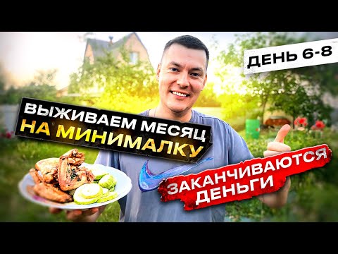 Видео: ВЫЖИВАЕМ МЕСЯЦ НА МИНИМАЛКУ  ДЕНЬ 6 8 ЗАКАНЧИВАЮТСЯ ДЕНЬГИ