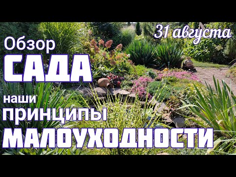 Видео: Прогулка по саду🌞 ЦВЕТЕНИЕ 31 августа 🌞 обзор участка