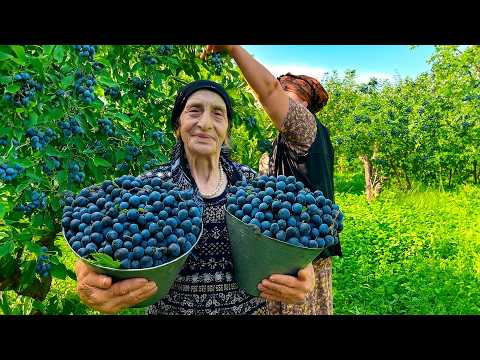 Видео: Сбор свежего терновника | Домашний компот и вкусный обед в деревенском стиле