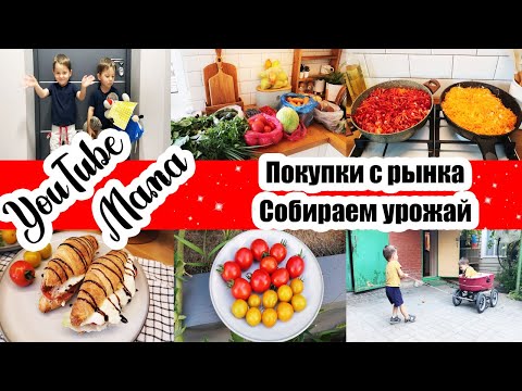 Видео: БОЛЬШАЯ ЗАГОТОВКА ЗАЖАРКИ 🥕🧅 ◾ ФОНТАН НА КУХНЕ 💧 ◾ БЛИЗНЕЦЫ В ГОСТЯХ 😄 ◾ ВКУСНЫЕ ПОКУПКИ С РЫНКА 🍅🥒