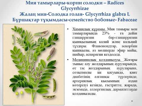 Видео: Құрамында сапониндер бар ДӨШ талдау #QyzyqScience