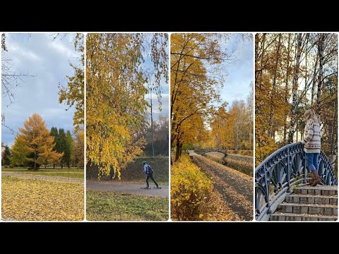 Видео: Казань, парк Урицкого, 15 октября 2025 г.