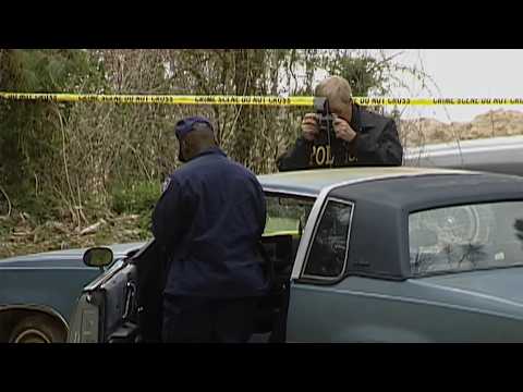 Видео: Преступление | Выходные Дня Труда превращаются в кошмар