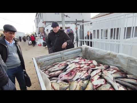 Видео: 13 НОЯБР 2025 ЖЫЛ ХАЛЫКАБАД БАЛЫК ХАМ ТАУЫК БАЗАР