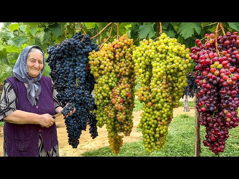 Видео: Бабушкин Урожай: Превращаем Весь Виноград Из Сада Во Вкусное Варенье!