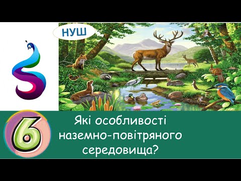 Видео: Які особливості наземно-повітряного середовища